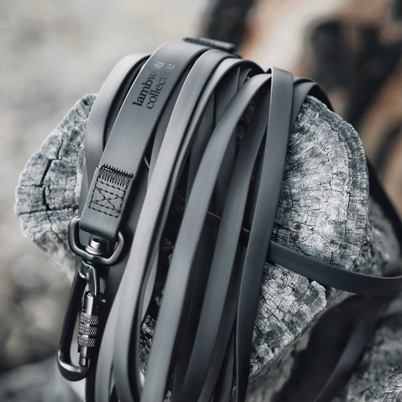 NOMAD | ultralight long line//LONG DOG LEASH: Dunes / 12ft/3m