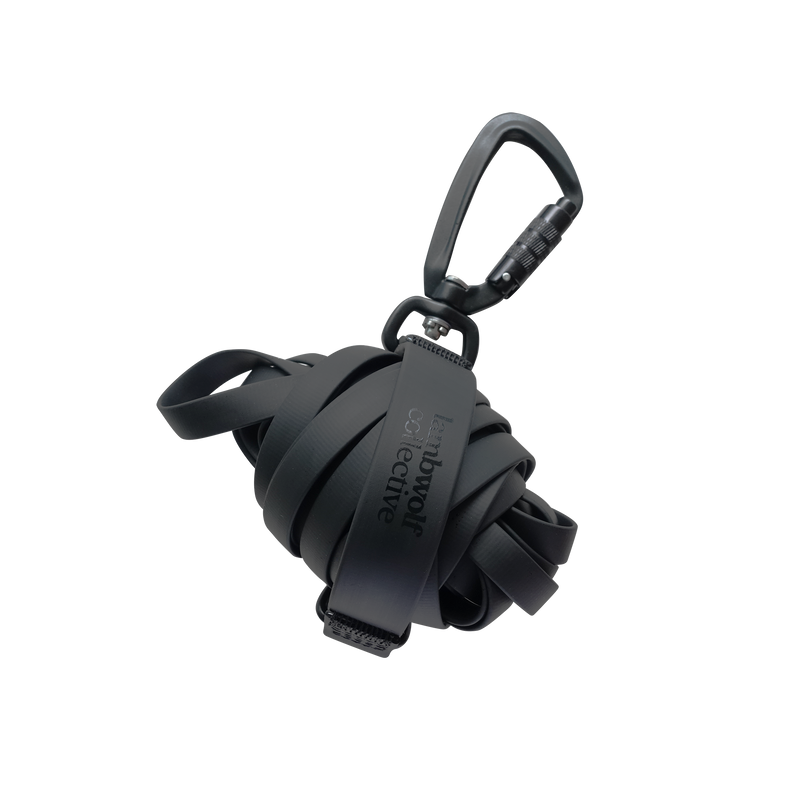 NOMAD | ultralight long line//LONG DOG LEASH: Tide (12ft/3m)