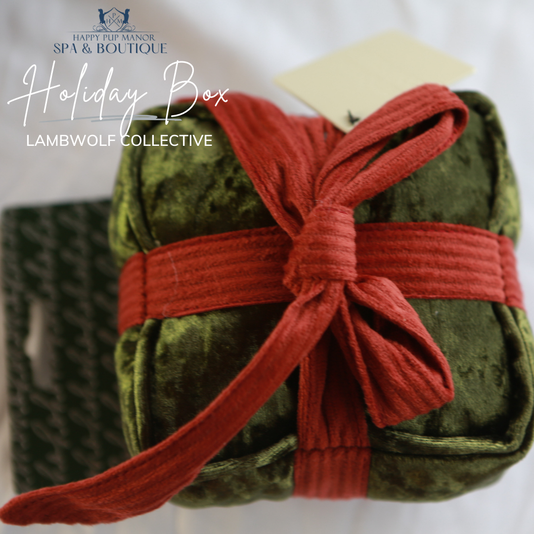 Holiday Box Toy (Pine)