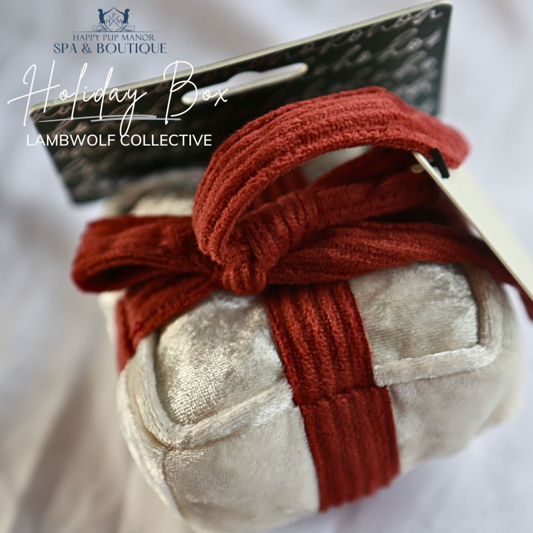 Holiday Box Toy (Snow)