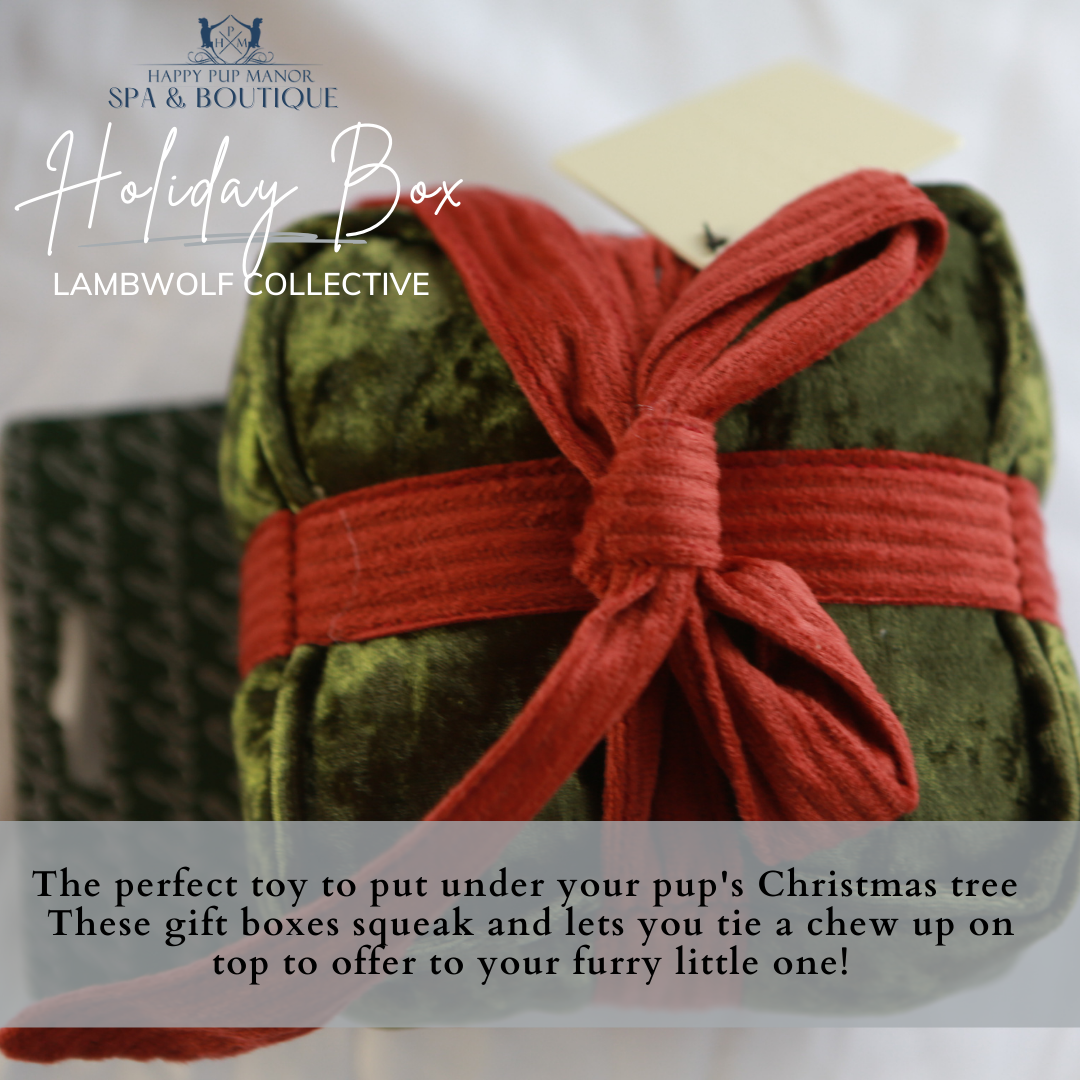Holiday Box Toy (Pine)