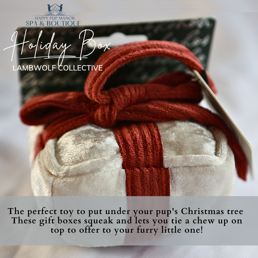 Holiday Box Toy (Snow)