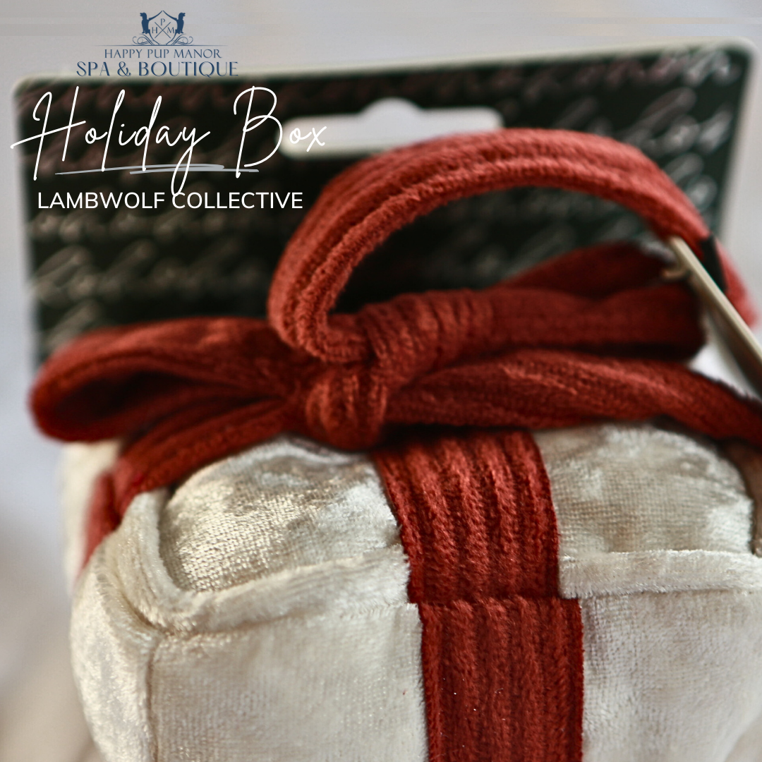 Holiday Box Toy (Snow)