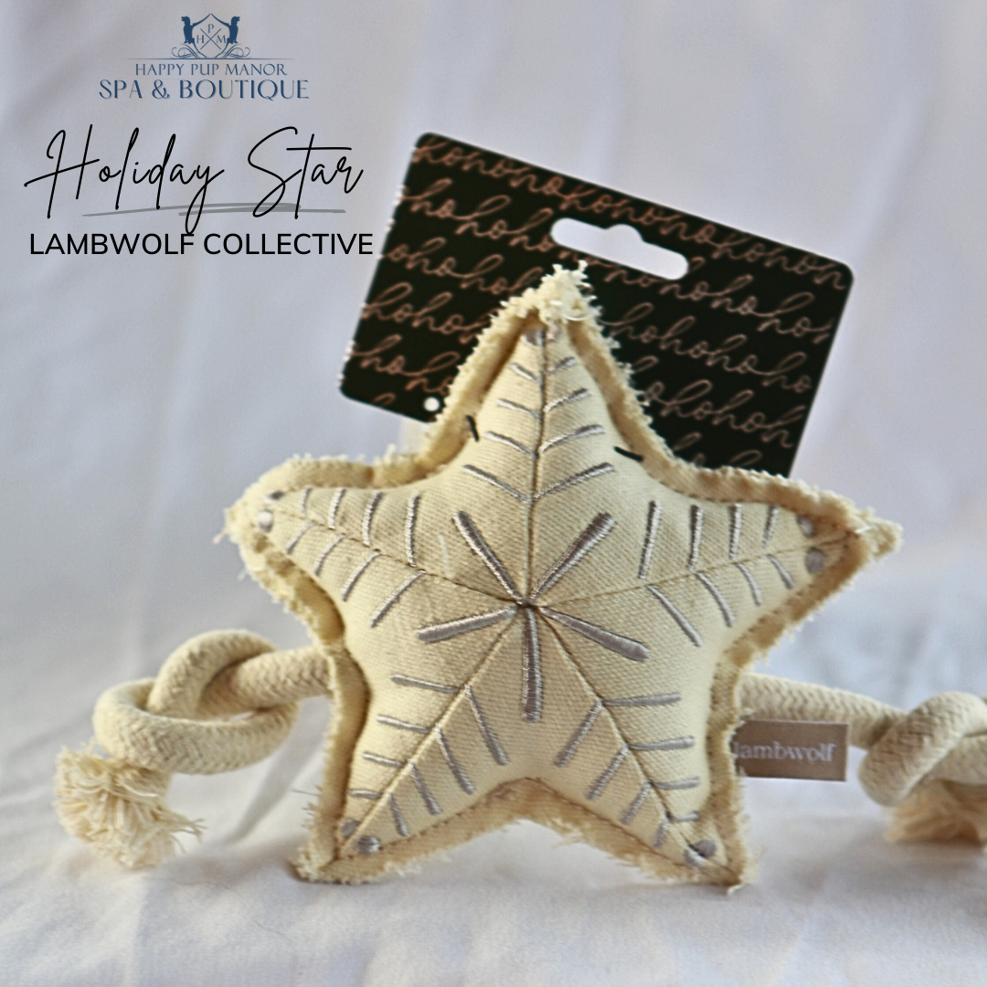 Holiday Star Christmas Dog Toy