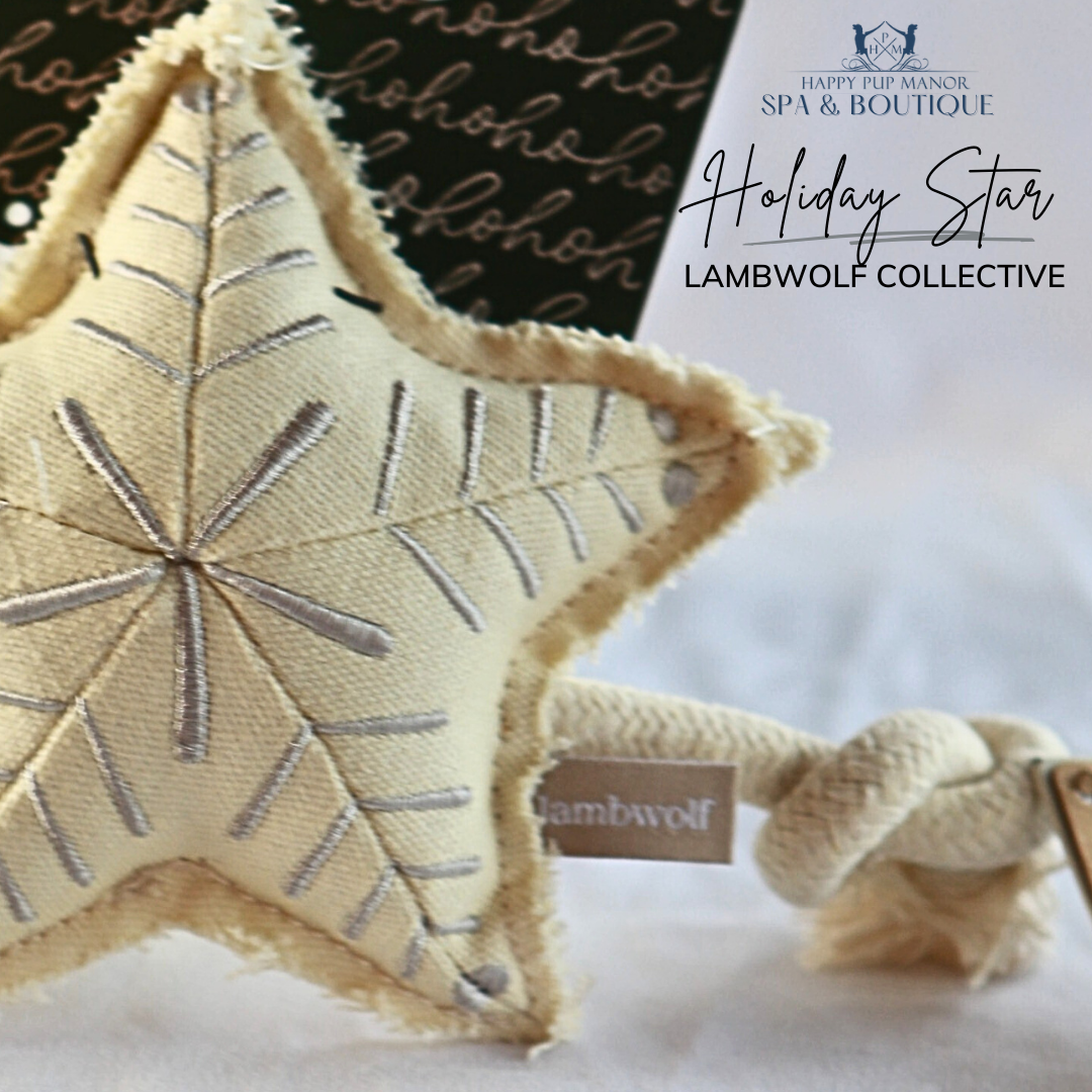 Holiday Star Christmas Dog Toy