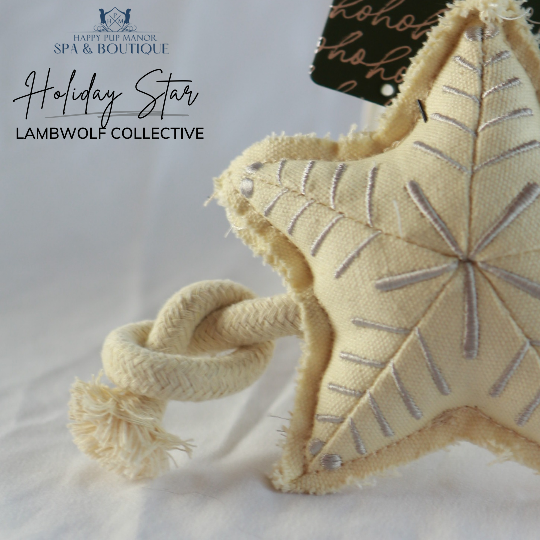 Holiday Star Christmas Dog Toy