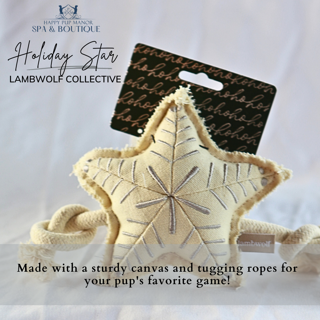 Holiday Star Christmas Dog Toy