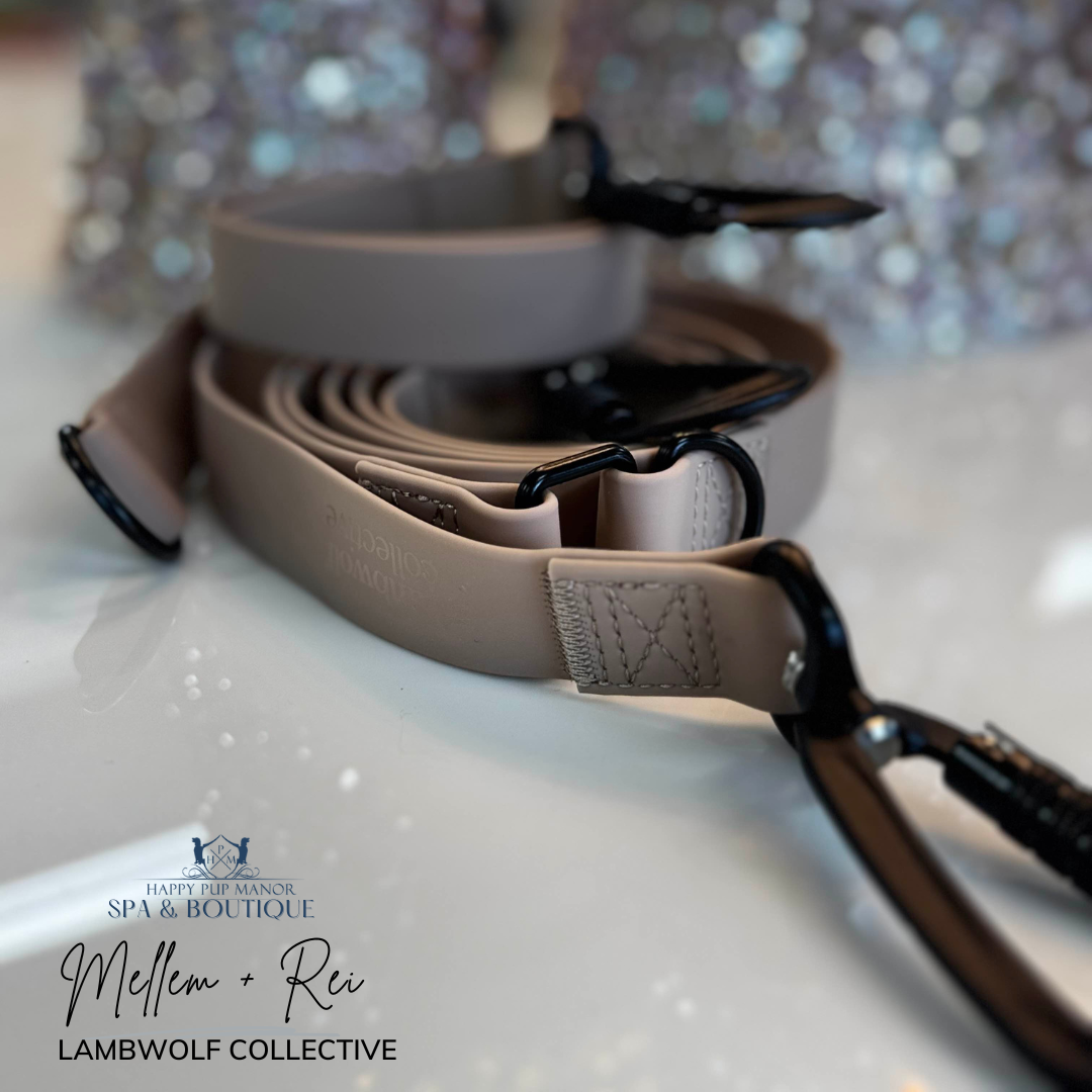 MELLEM + REI (Wide) | hands-free waterproof leash (Beige)