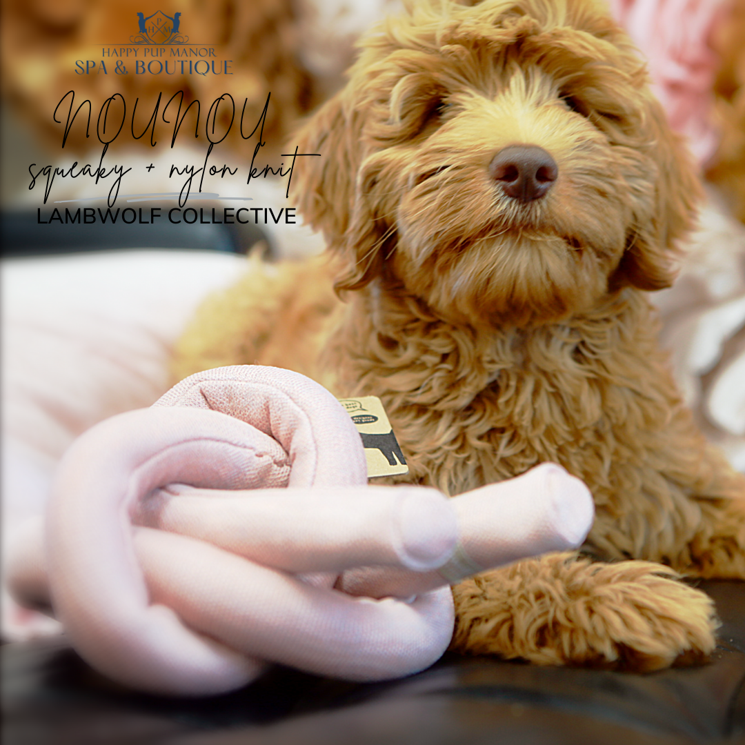 NOUNOU squeaky + nylon knit (Dogwood)