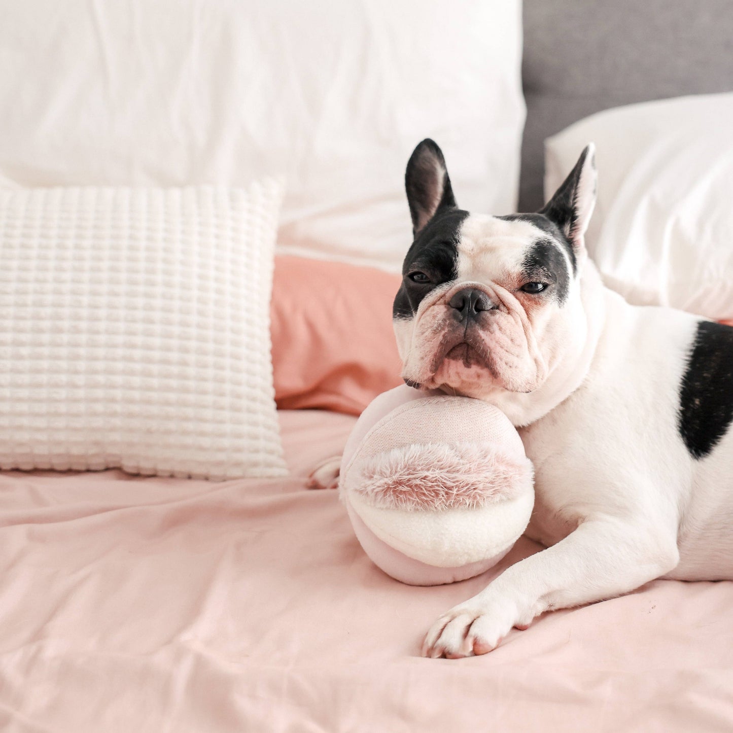 TOTO//ENRICHMENT DOG TOY: PINK