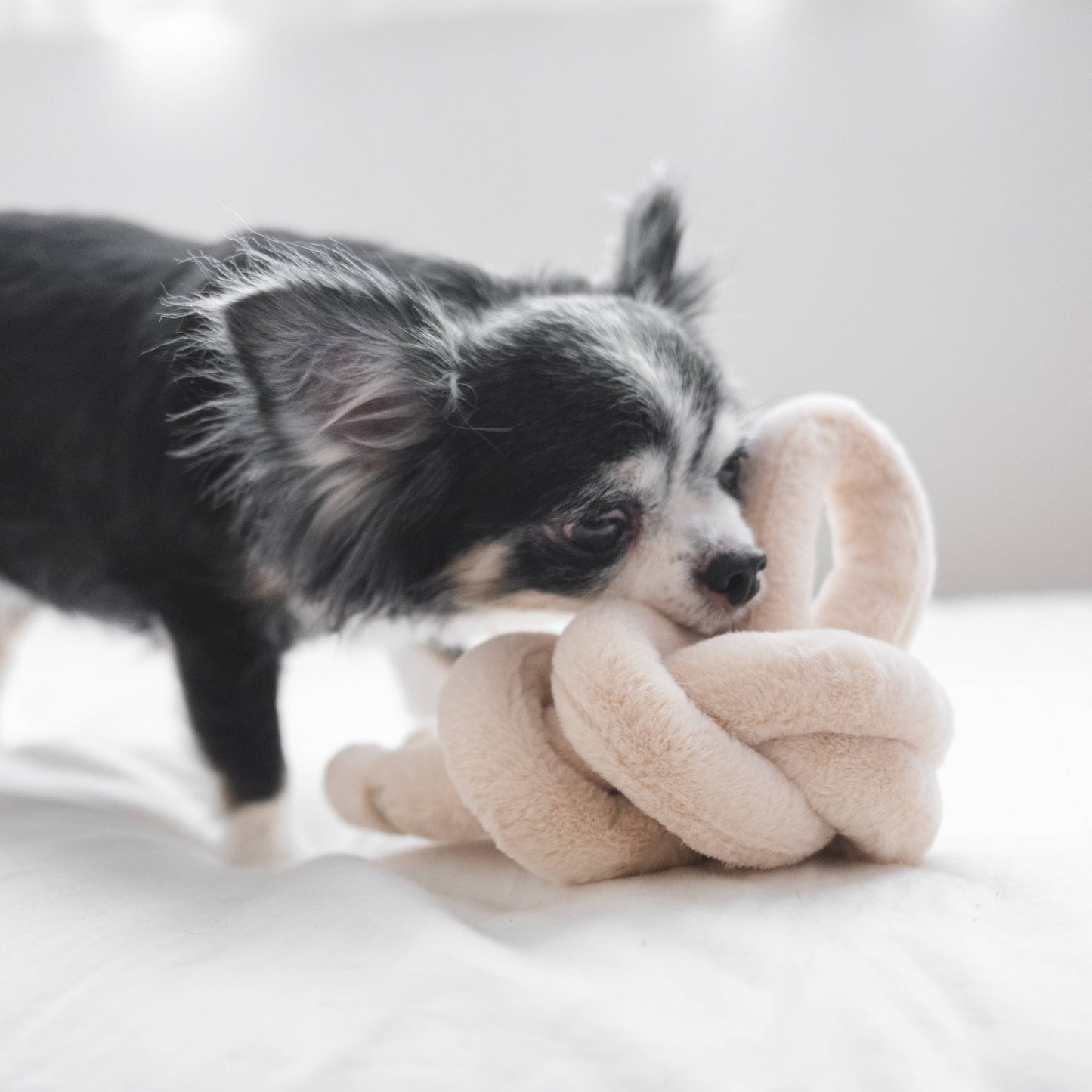NOUNOUNOU | pearl//ENRICHMENT DOG TOY
