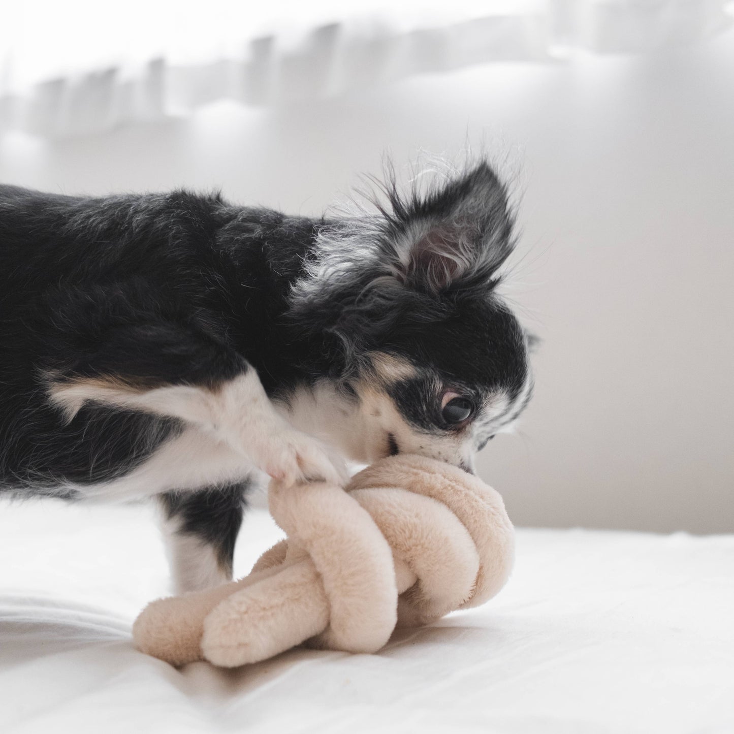 NOUNOUNOU | pearl//ENRICHMENT DOG TOY