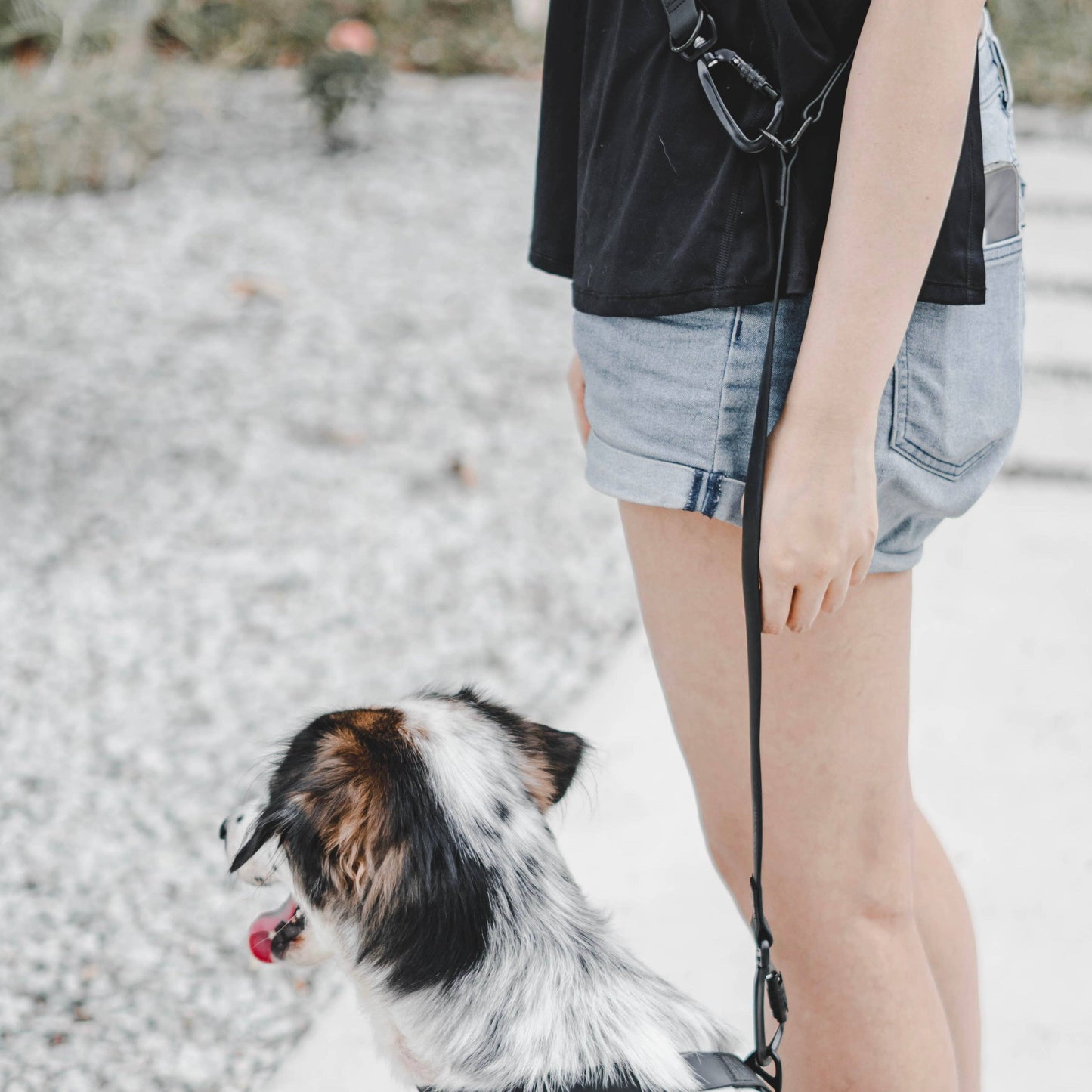 MELLEM + REI (Wide) | hands-free waterproof leash: Muted Pink