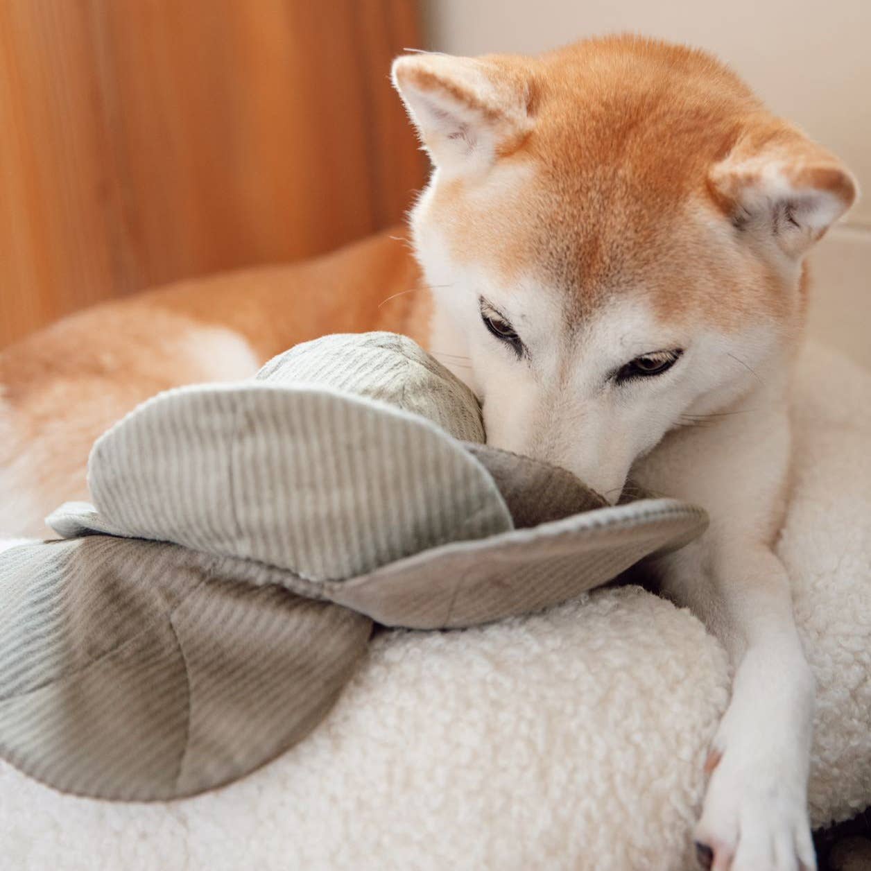 CABBAGE POP//ENRICHMENT DOG TOY