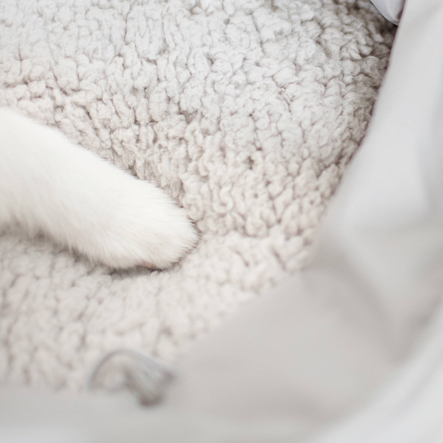 OLLA | PETITE PET CARRYCOT//DOG CARRIER