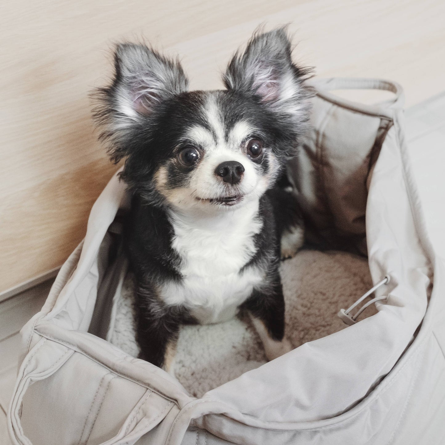 OLLA | PETITE PET CARRYCOT//DOG CARRIER