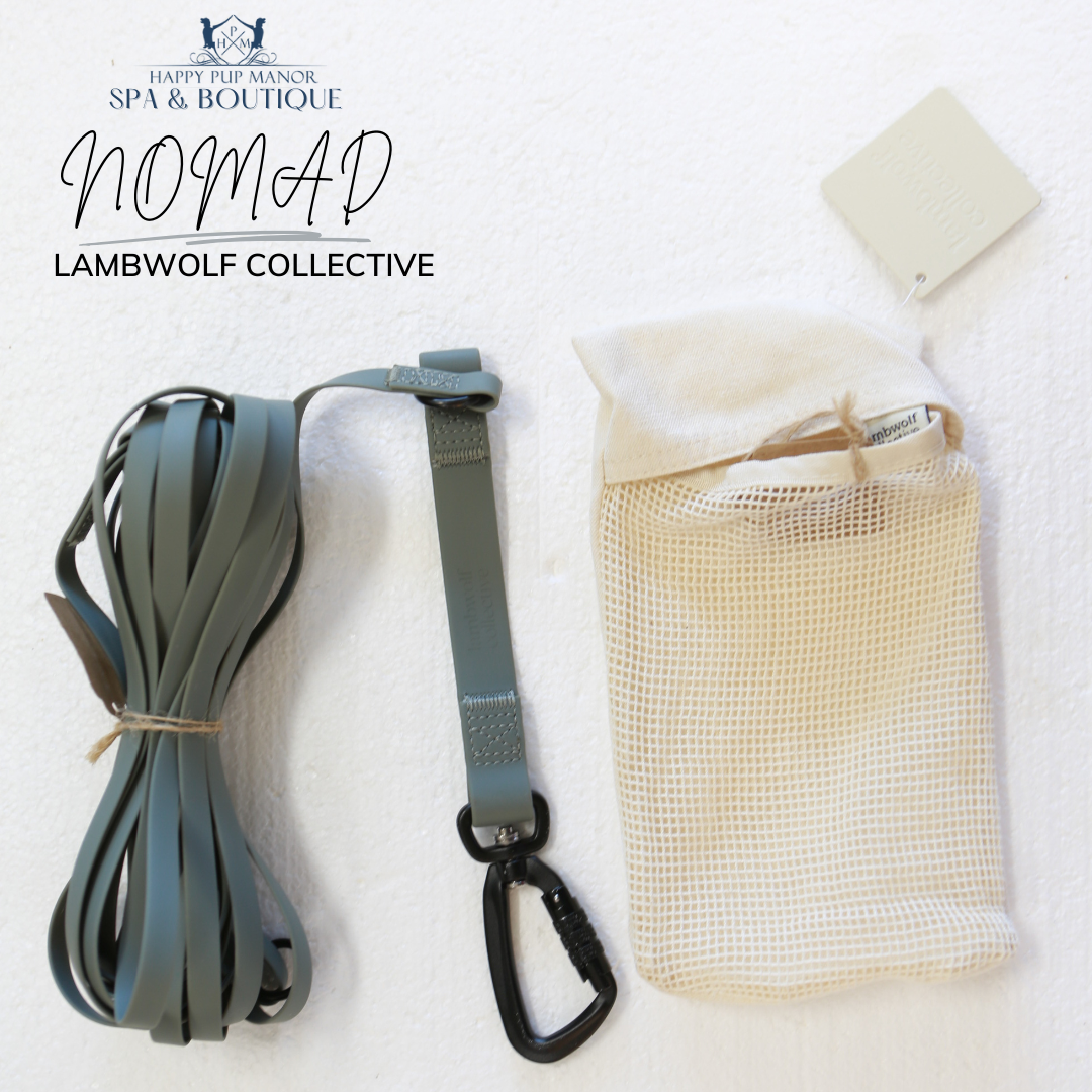 NOMAD | ultralight long line//LONG DOG LEASH: Tide (12ft/3m)