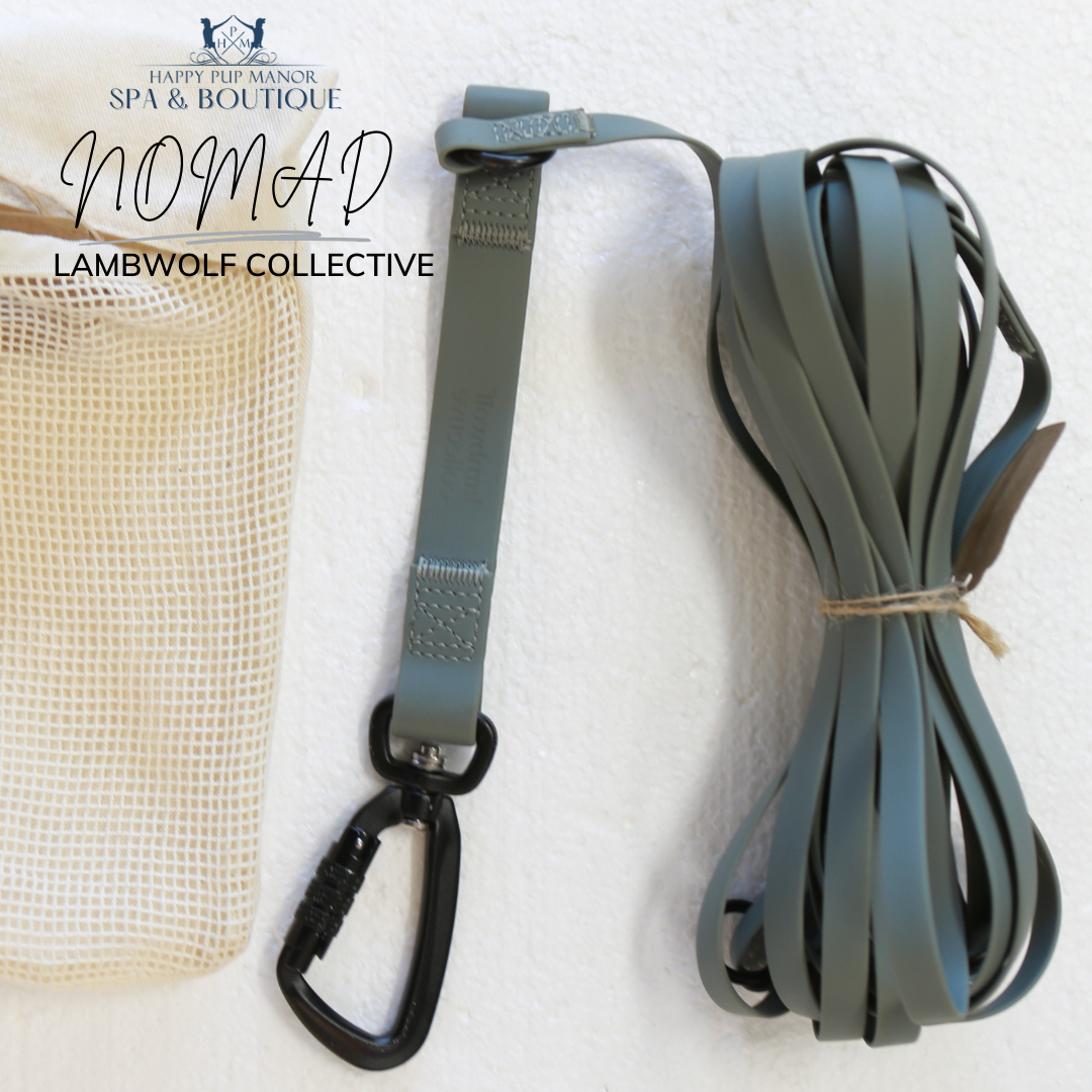 NOMAD | ultralight long line//LONG DOG LEASH: Tide (12ft/3m)
