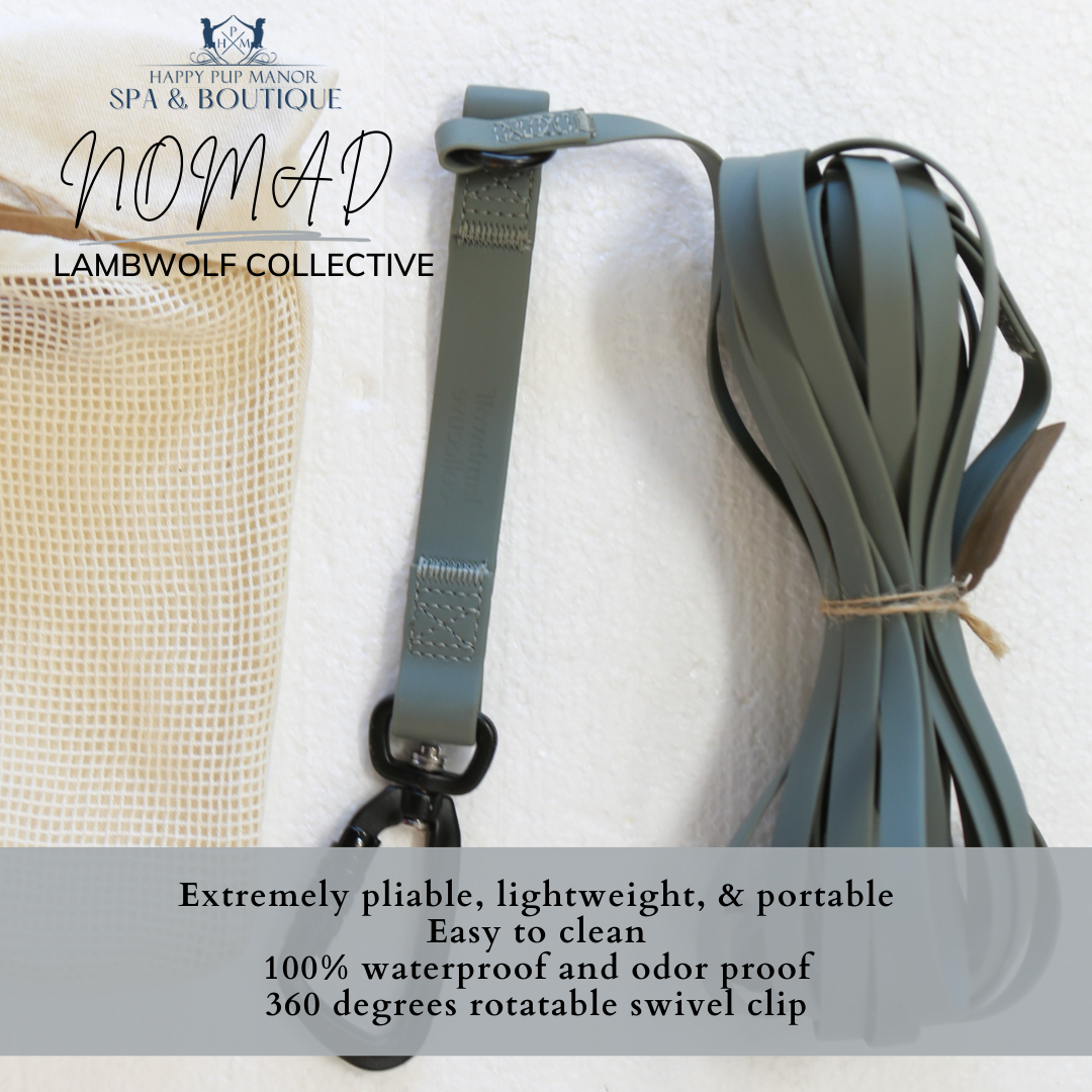 NOMAD | ultralight long line//LONG DOG LEASH: Tide (12ft/3m)