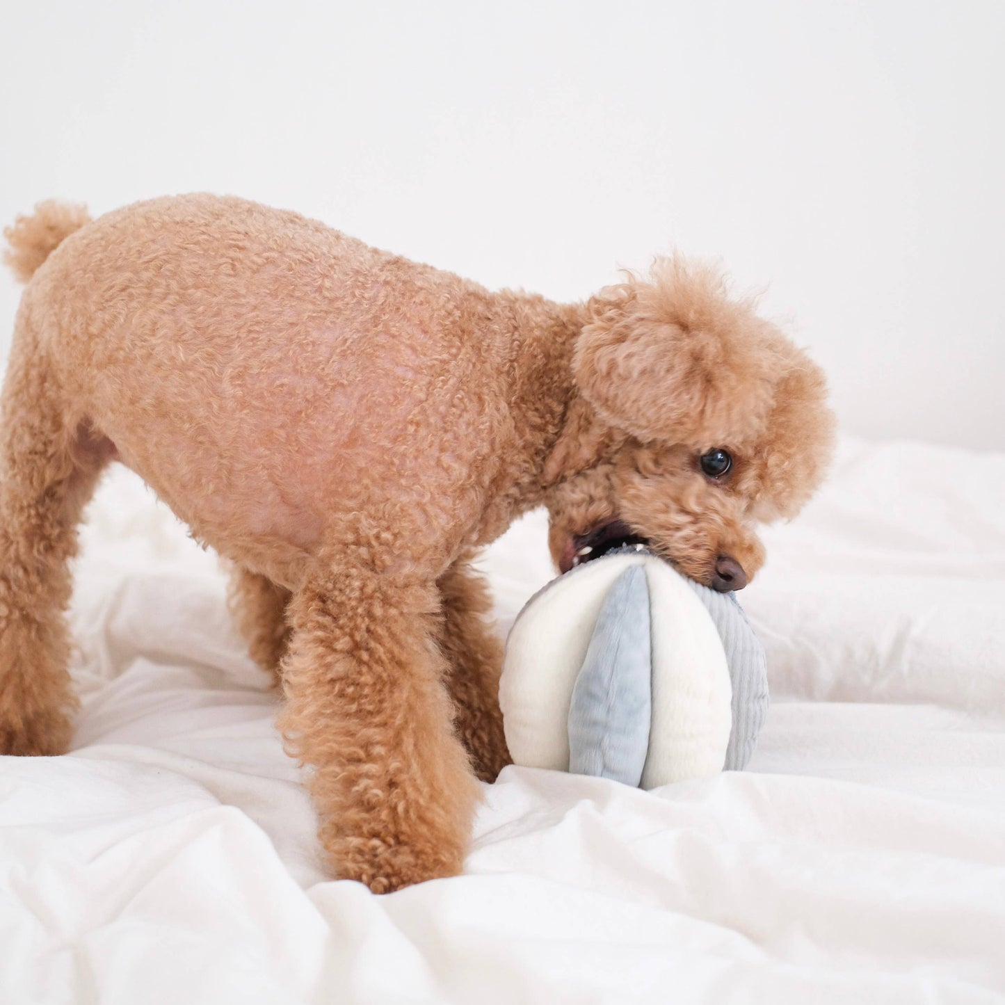 TOTO//ENRICHMENT DOG TOY: PINK